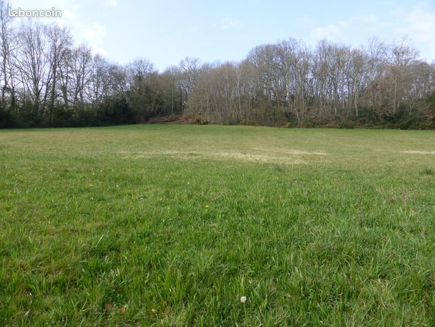 Terrain 12365 m² Monléon-Magnoac