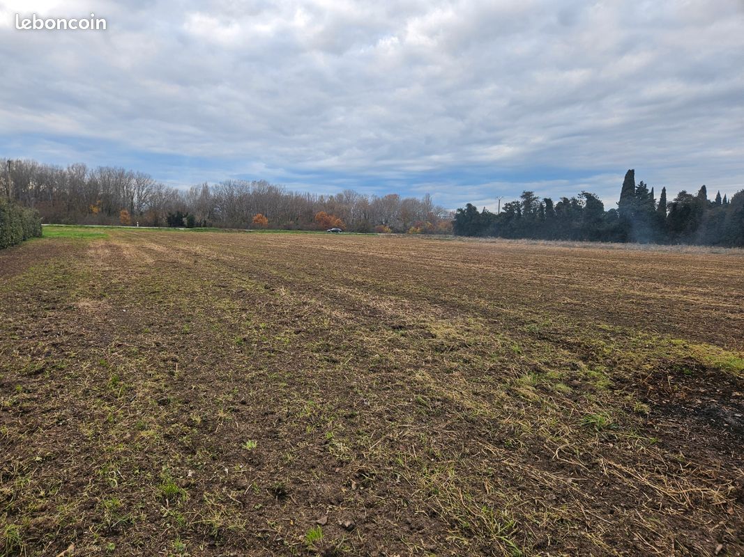 Terrain bord de D973 pour expo · à Cavaillon · 1 500 €