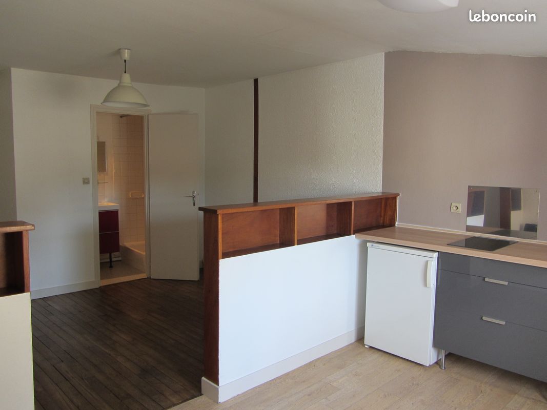 Studio 24m2, centre ville avec place de parking privative - Poitiers 86000 (image principale 0)