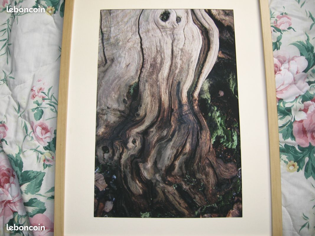 Image d'art de Fred Duval (image 1)