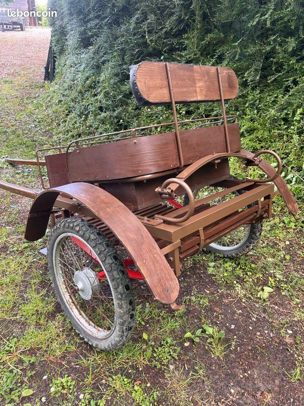 Calèche hippomobile (image 7)