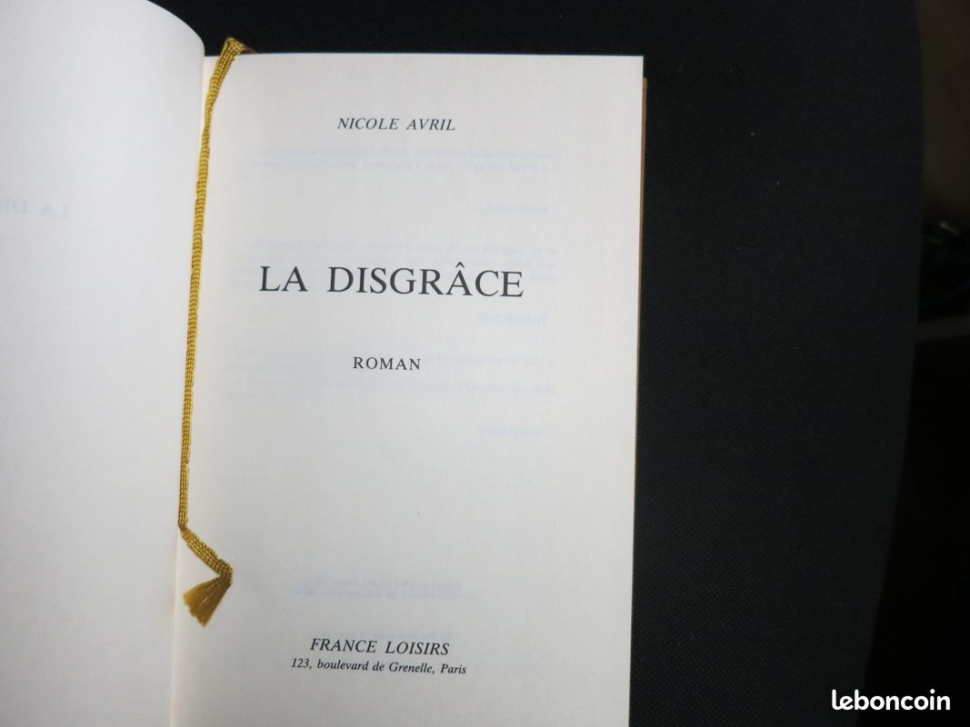 La Disgrâce - nicole avril (image 3)