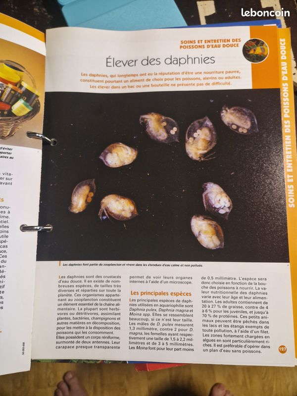Magazines Aquarium Pratique (image 3)