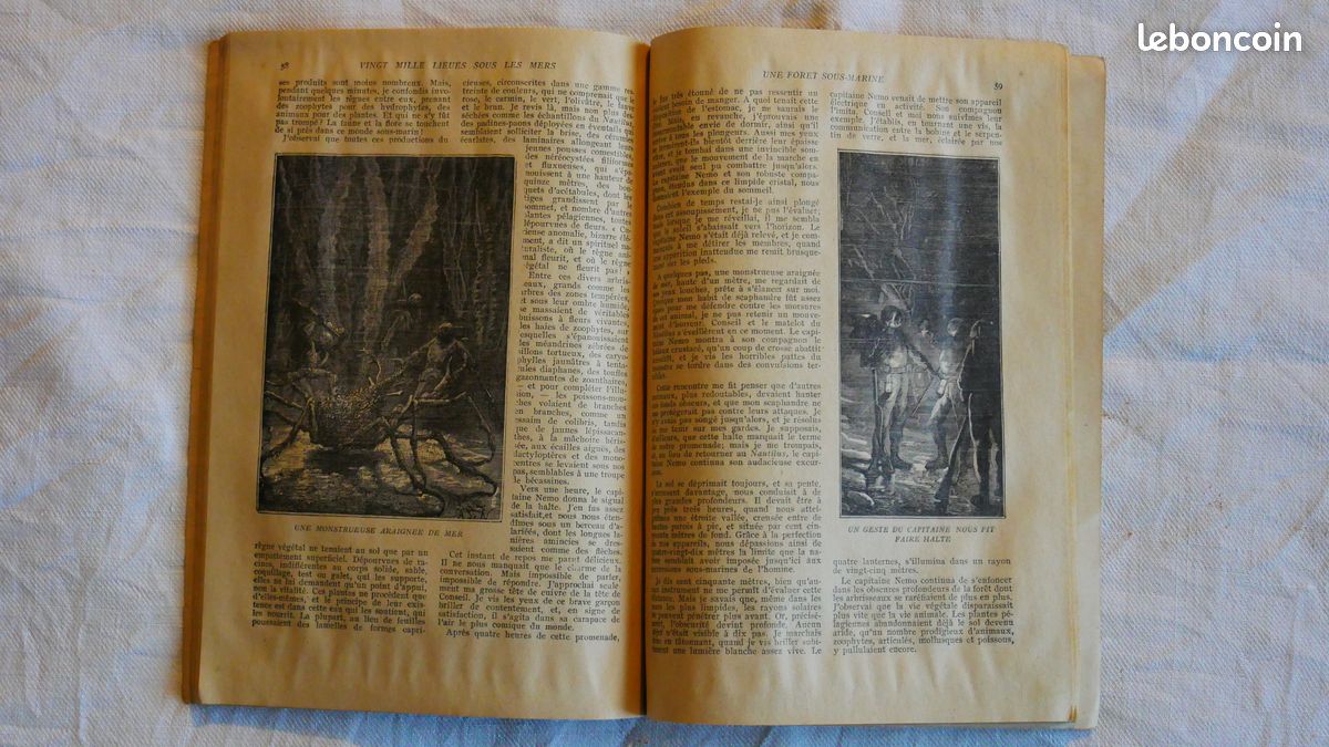 Les voyages extraordinaires - Jules Verne - 20 000 lieues sous les mers - 1iere partie (image 4)