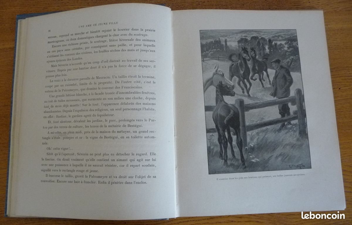 Une AME de JEUNE FILLE par Michel Antar (image 3)