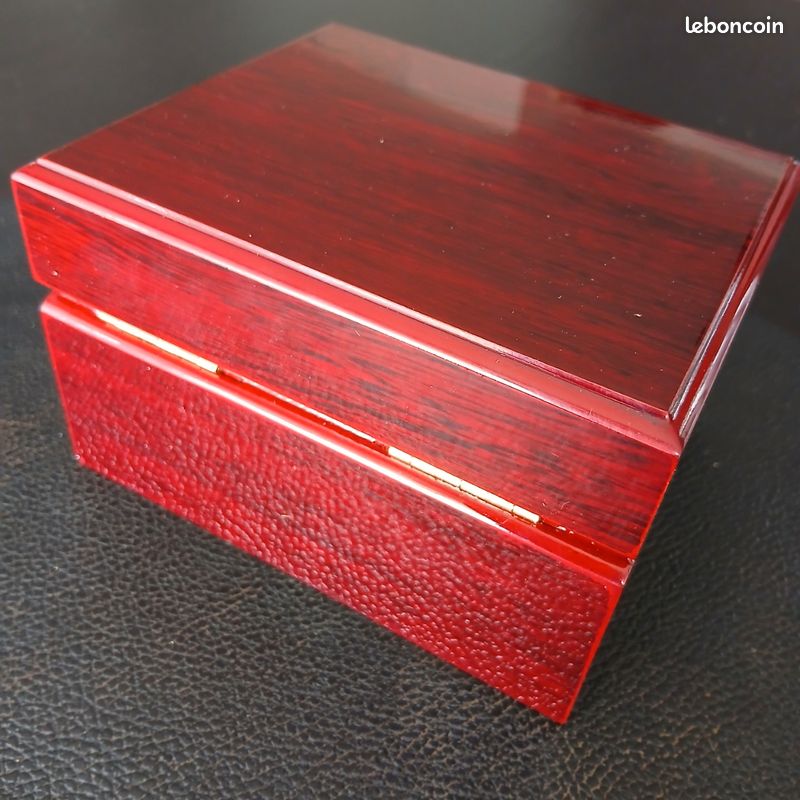 Montre zelus rubis suisse révision ok (image 9)