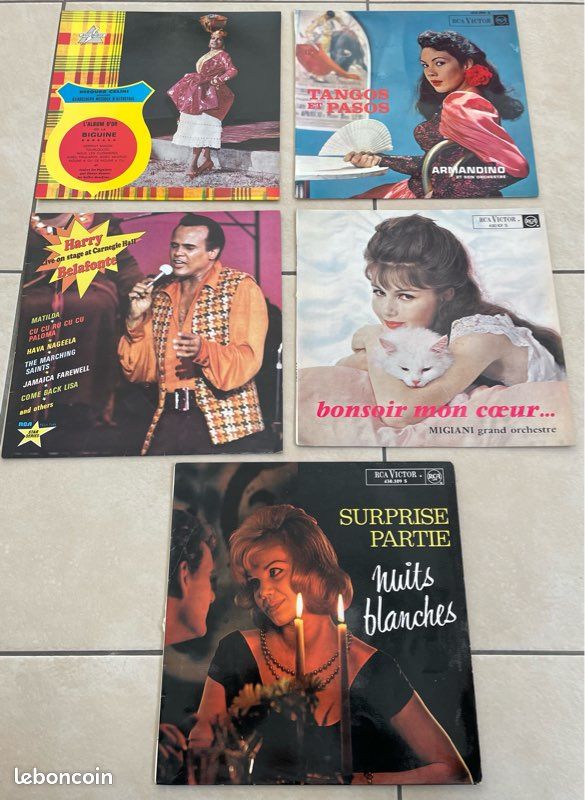 Vinyles 33 tours (image 1)