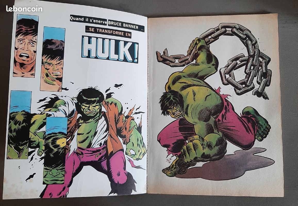 Bd HULK et le petit garçon (image 3)
