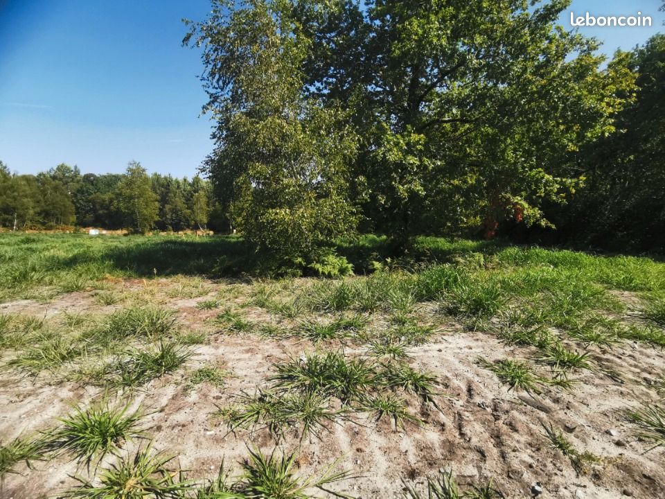 Terrain 599 m² Mios · 146 000 €