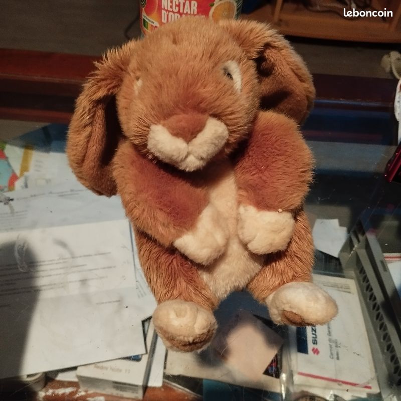 Vend jouet pour chien qui fait un petit son (image 1)
