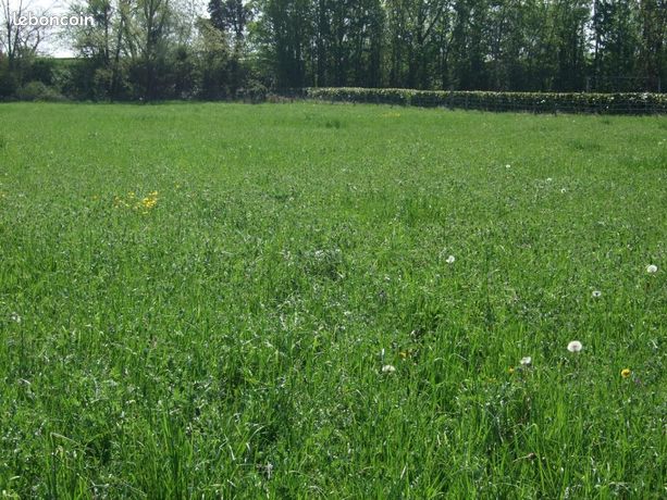 Terrain 1 298 m² Montpensier