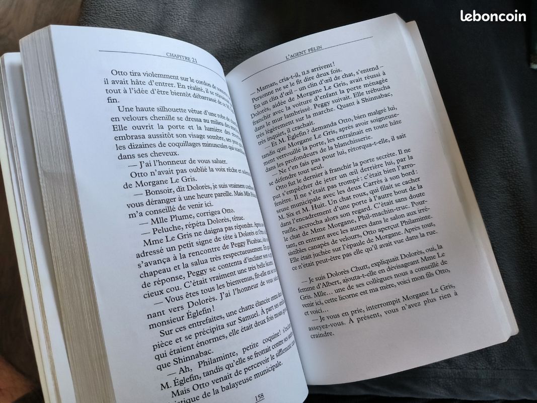 Livre. Otto et la cité des chimerics (image 5)