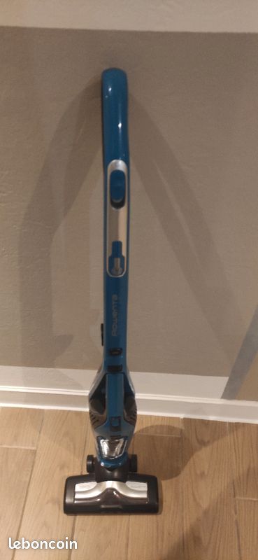 Aspirateur balai ROWENTA dual force (image 1)