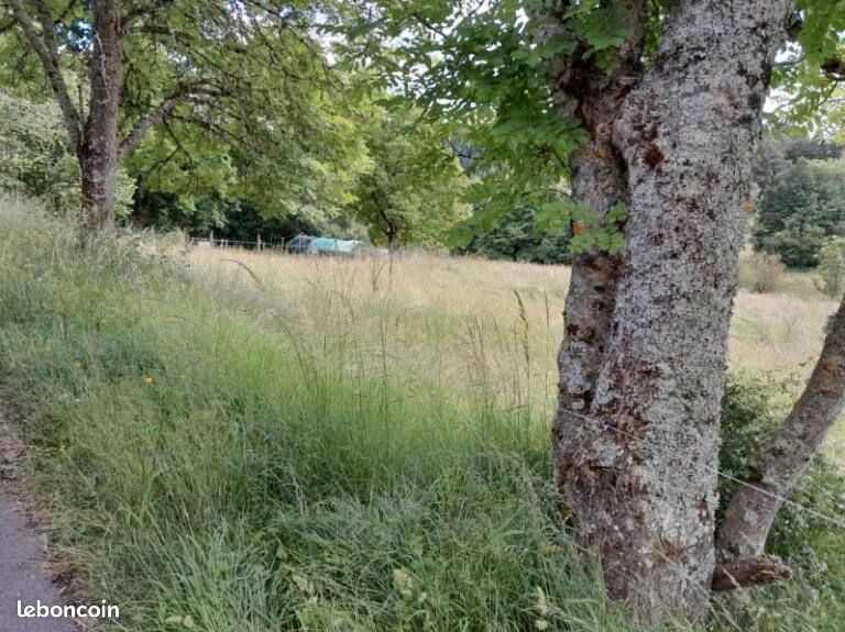 Terrain constructible · à Saint-Martin-des-Olmes · 28 080 €