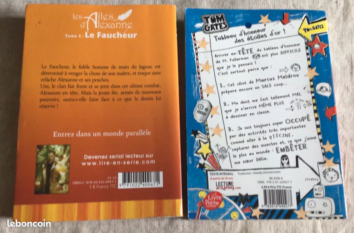 Lot de 2 livre loisirs (image 2)