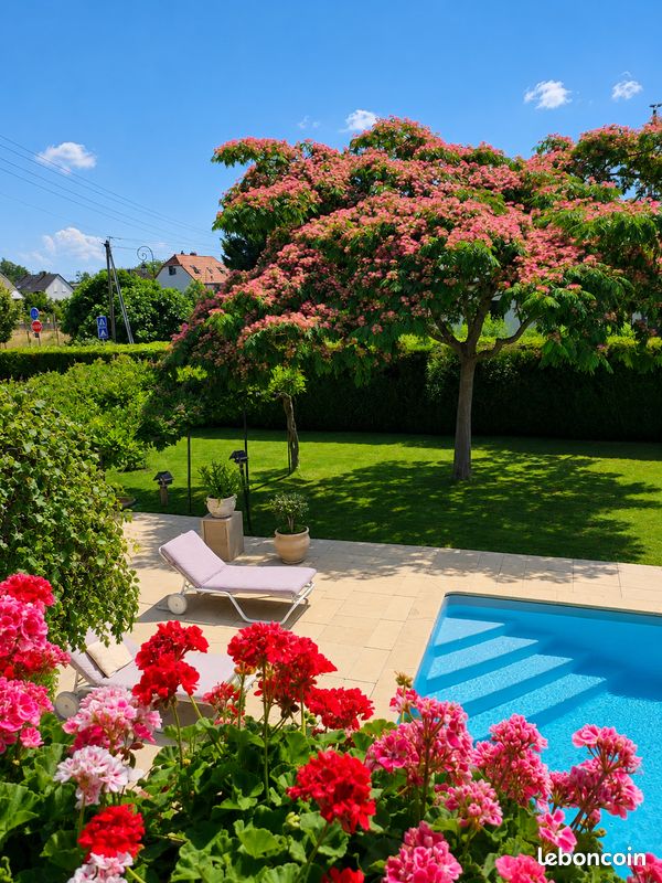 Maison 9 pièces 220 m² · à Sausheim · 220 m² · 690 000 €