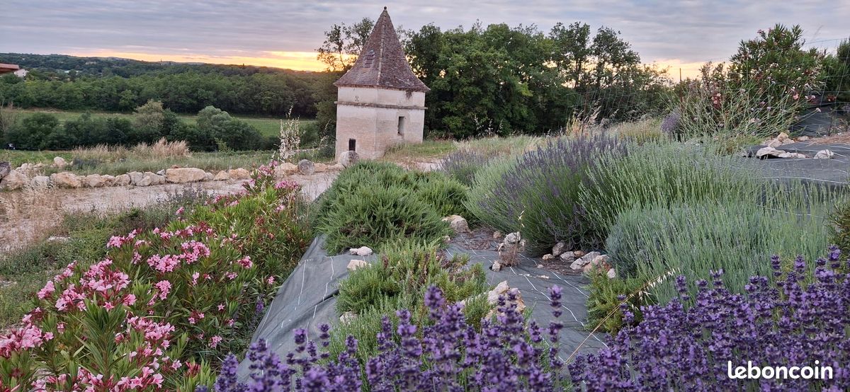 Spacieux gîte (12 personnes) au coeur du triangle d'or: région la plus ensoleillée du Tarn (image 18)