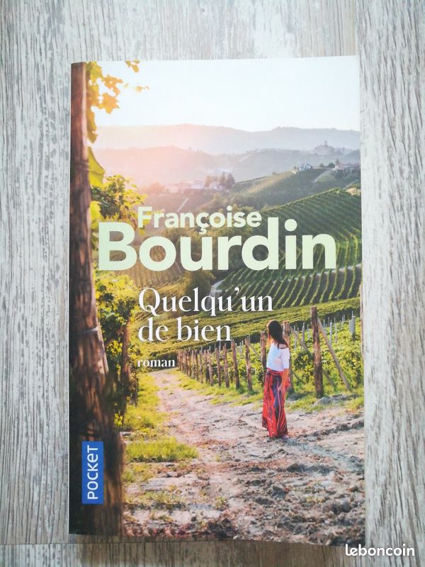 Livre roman Quelqu'un de bien de Françoise Bourdin (image 1)
