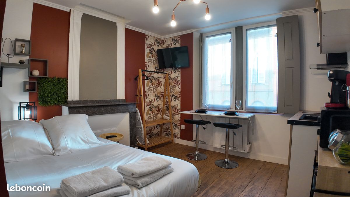 Appartement 1 pièce 21 m² · à Montauban · 20,5 m² · 500 €/mois