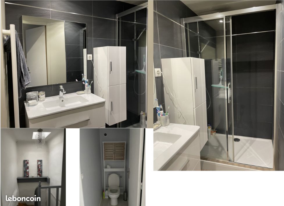 Appartement T3 52m2 meublé Poitiers centre - Poitiers 86000 (image principale 2)
