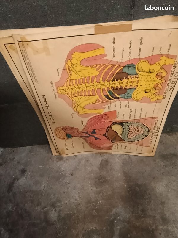 Armoire a cartes (image 6)