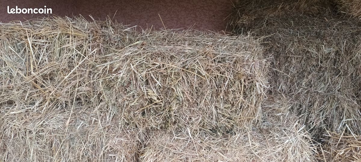 Petits Ballots de paille ou foin (image 3)