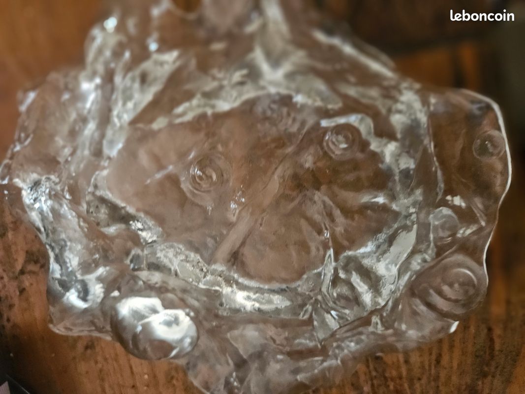 Coupe en verre jolanda coquillage (image 3)
