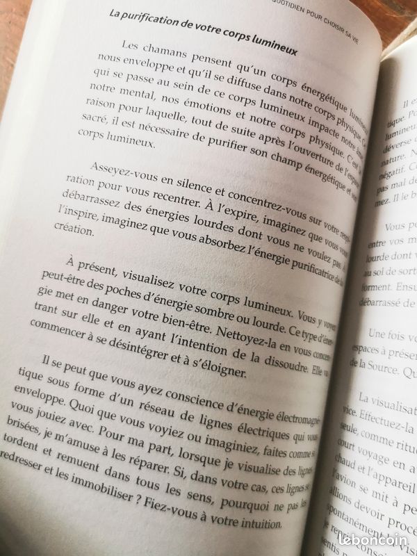 La Pratique chamanique au Quotidien (image 7)