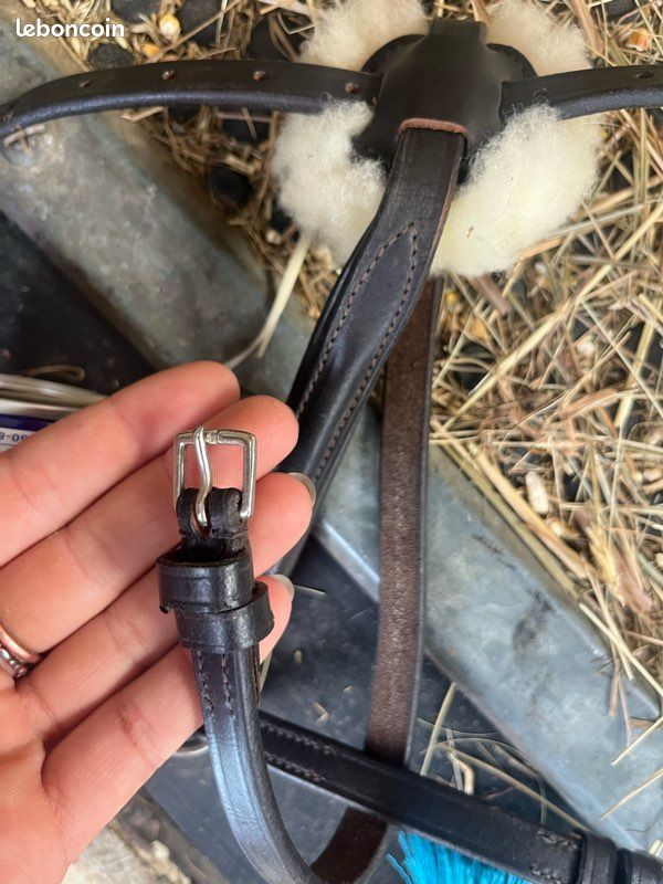 Muserolle croisée cheval (image 2)