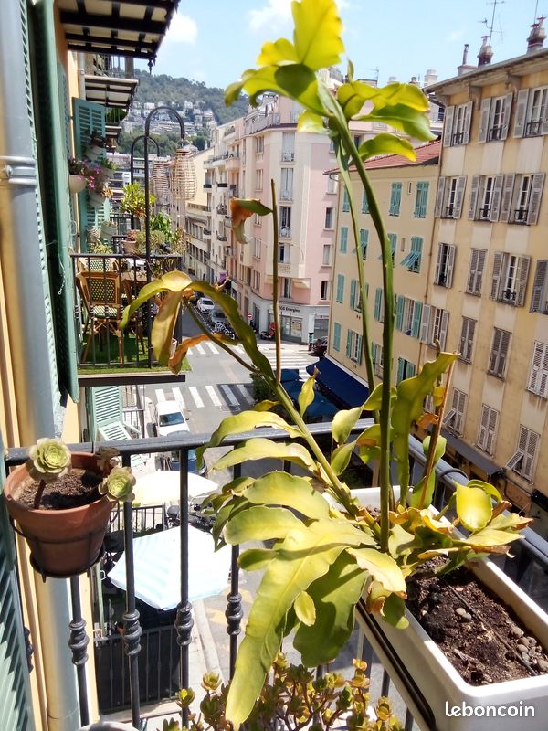 Appartement 3 pièces 59 m² · à Nice · 59 m² · 365 000 €