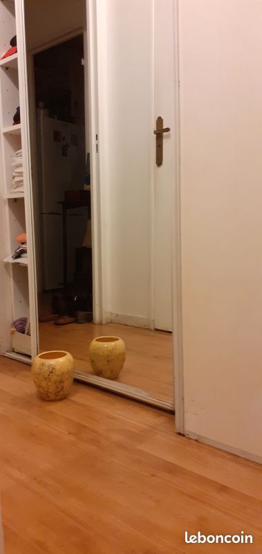 2 Véritables miroirs grands formats (image 1)