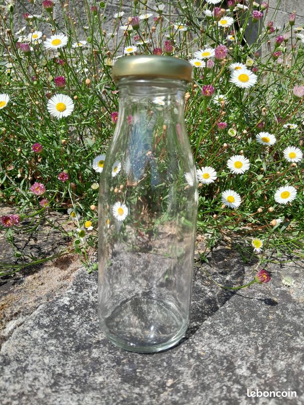 Bouteille en verre 25cl (image 1)