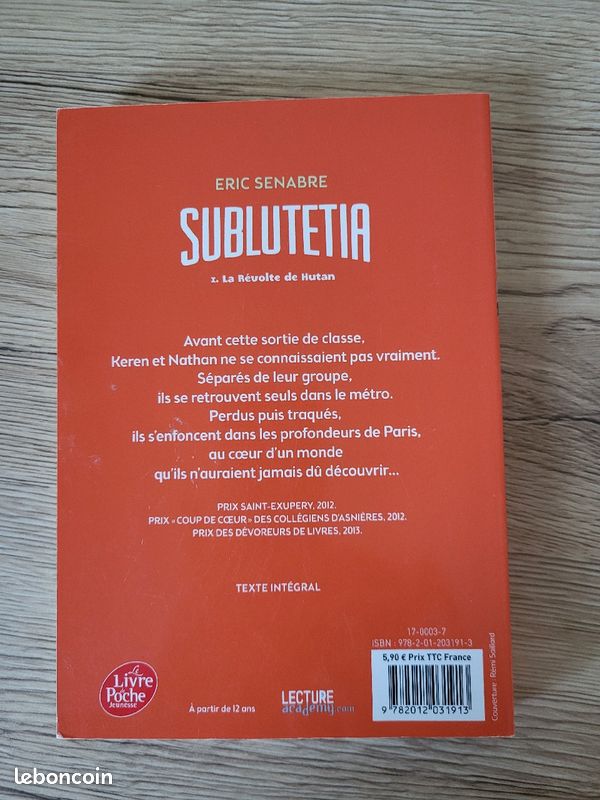 Roman Sublutetia (image 3)