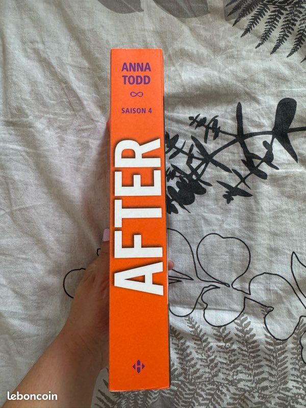 After Tome 4 (image 3)