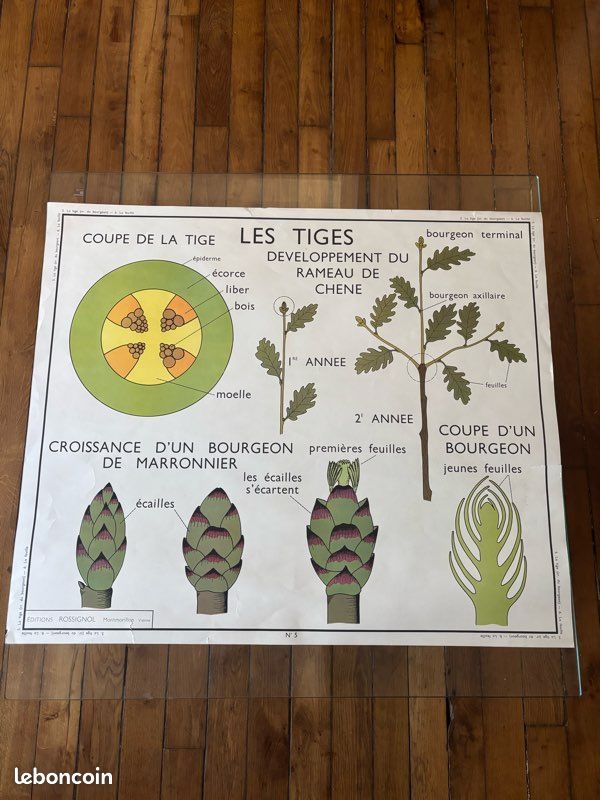 Affiche école ancienne (image 2)