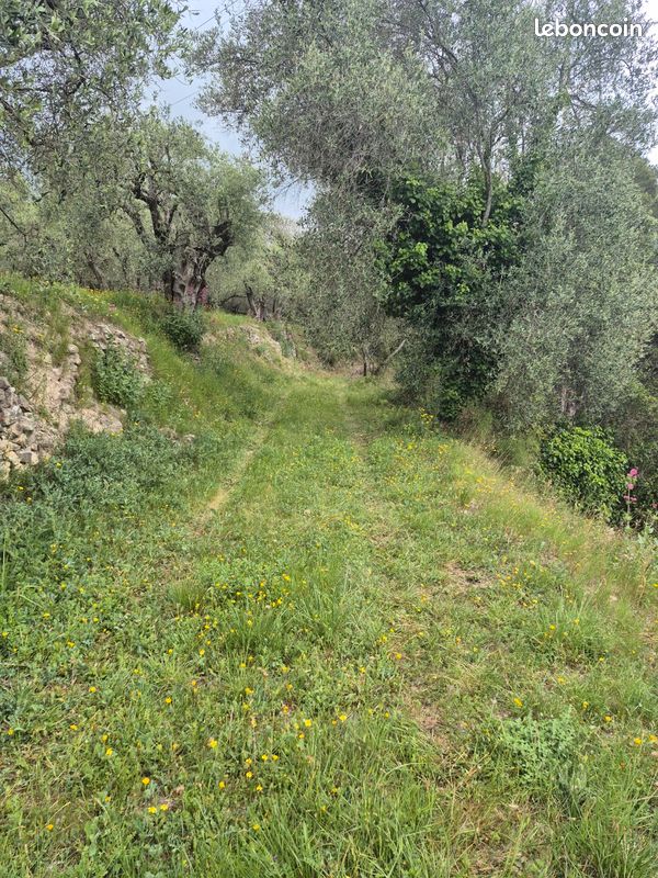 Terrain agricole · à La Trinité · 15 000 €