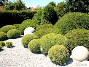 Jardinier paysagiste propose ses services (image 1)