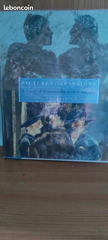 Pictures and Passions A History of Homosexuality in the Visual Arts Par James M. Saslow (image 1)