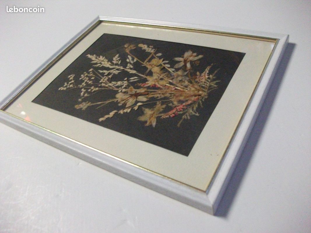 Tableau avec compostions de fleurs séchées (image 3)