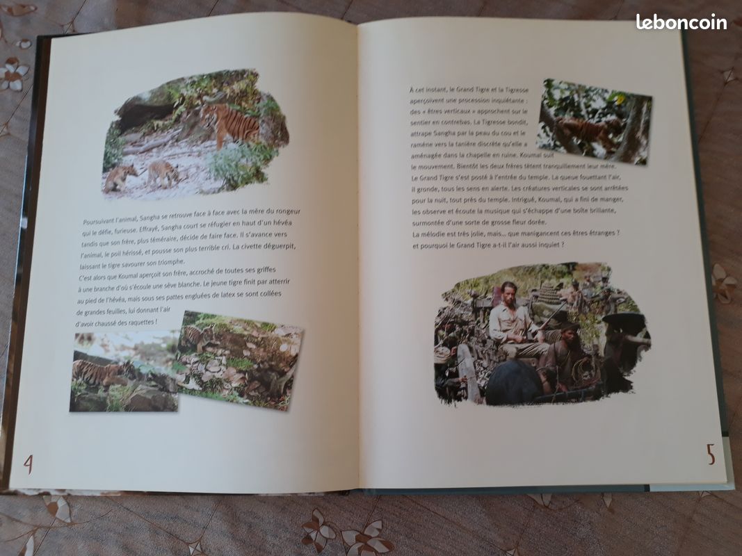 Livre enfant deux frères (image 3)