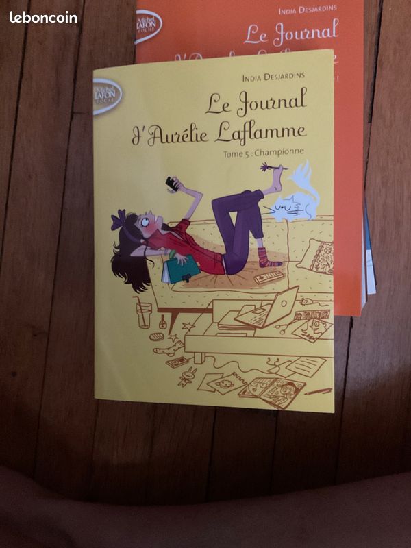 Intégrale du Journal d’Aurélie Laflamme (image 6)