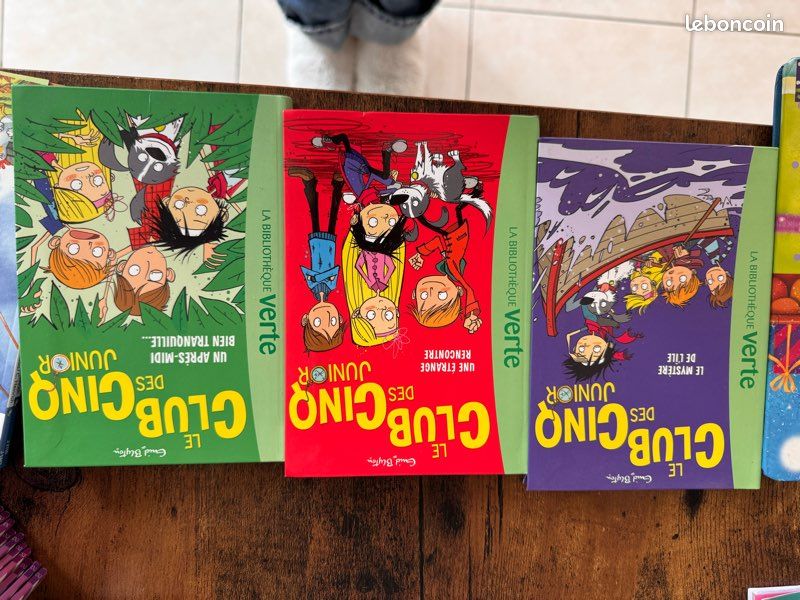 Lot livres enfant 6 à 9 ans (image 6)