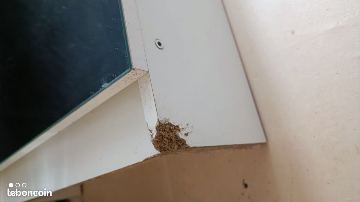 Armoire à chaussures (image 4)