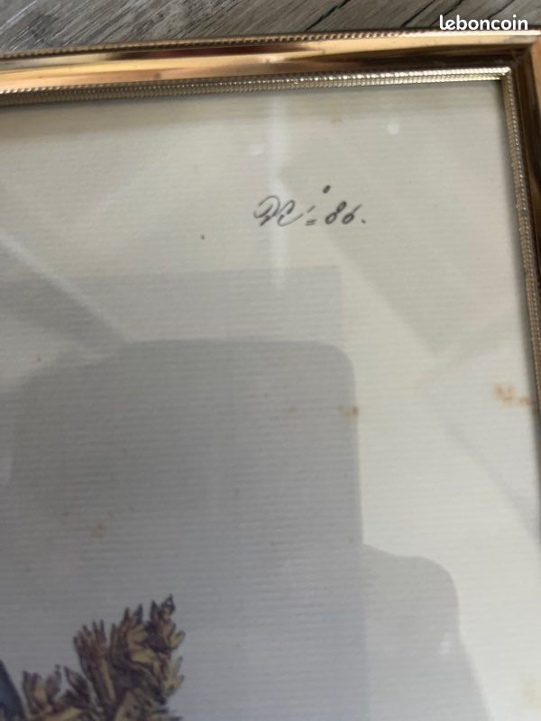 Cadre (image 4)