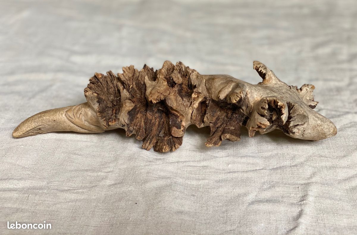 Sculpture en bois exotique représentant un varan, dragon de Komodo n°1 (image 4)