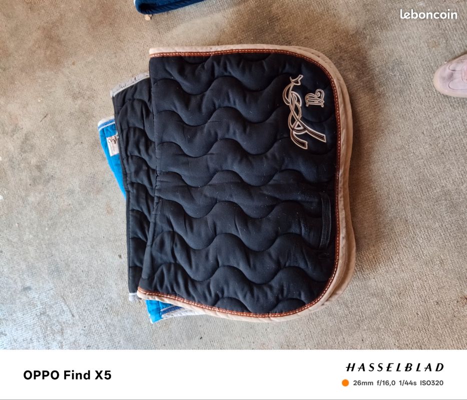 Tapis équitation Padd bleu cheval - Sport & Plein air