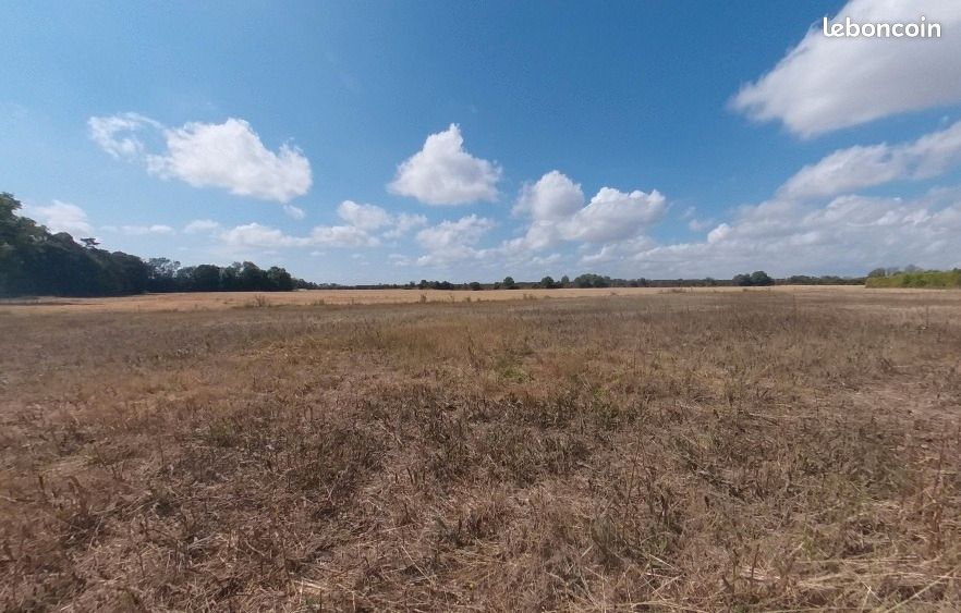 Terrain 329 m² · à Beaumont-du-Gâtinais · 35 000 €
