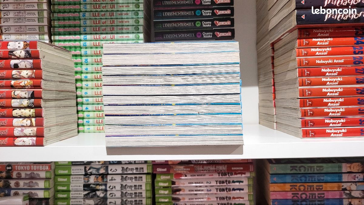 Manga Beelzebub parfait état comme neuf. 2011. Envoi mondial relais édition kaze (image 2)