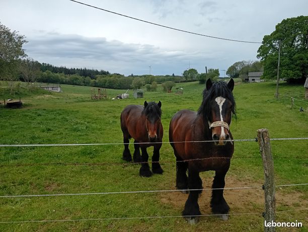 OFFRE SPÉCIALE "LANCEMENT" : Prix de vente : 50 000 . Réduction de 2 000  (prix net : 48 000 ) pour tout compromis de vente signé avant le 4 juillet 2026