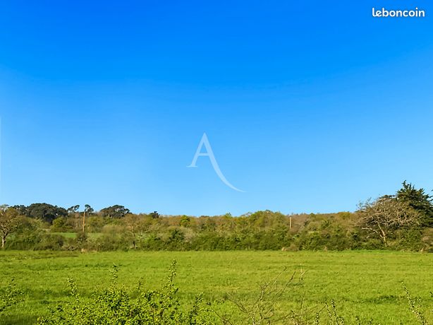 https://img.leboncoin.fr/api/v1/lbcpb1/images/63/e7/35/63e735b313edee0b1996b8c6d8de8d2f7d56b5b0.jpg?rule=ad-image